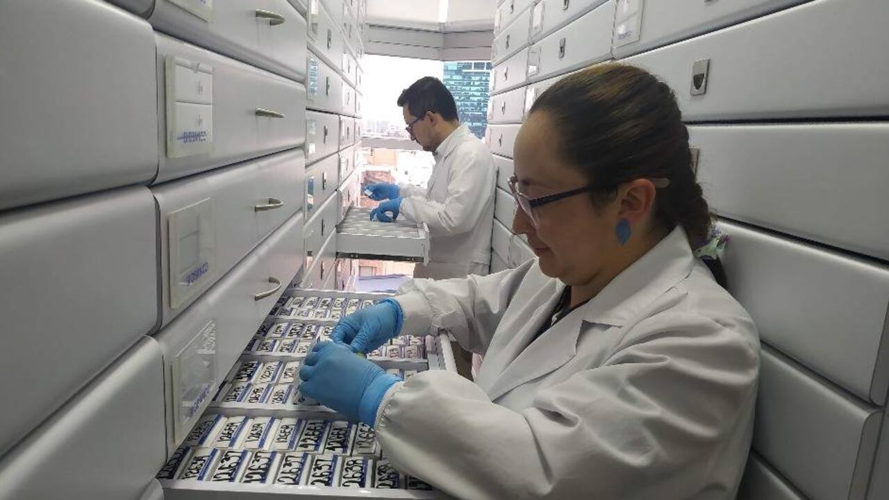 Ficmac ha concentrado sus esfuerzos y nuevos desarrollos en profundizar su conocimiento en medicina de precisión.