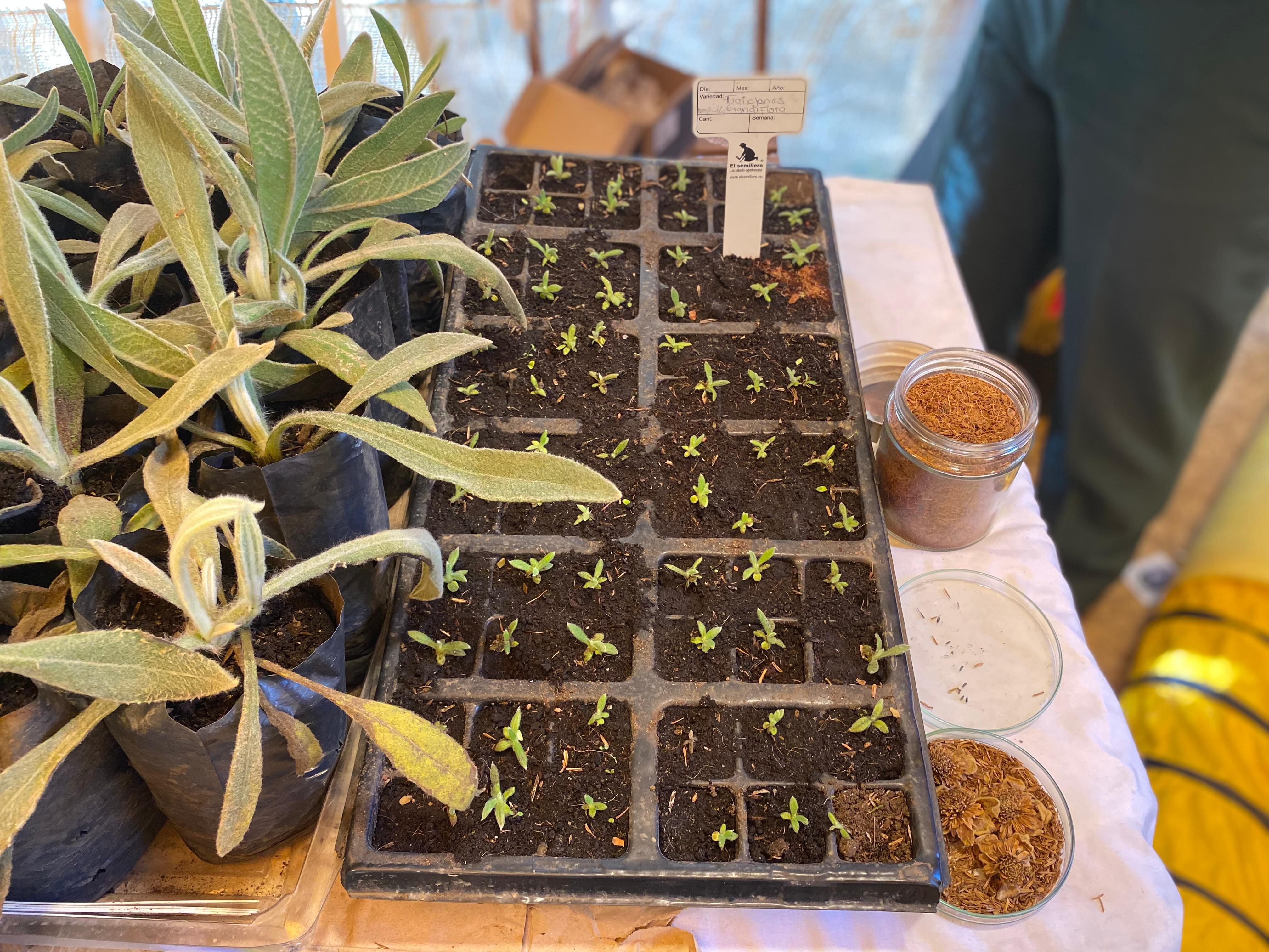 Edwin Agredo, Sargento Segundo de la Brigada 29 del Ejército Nacional de Colombia.