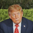 Donald Trump Cultivos coca
