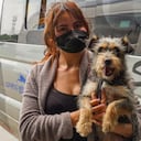 Conozca cómo garantizar un viaje seguro en bus con su mascota en Colombia.