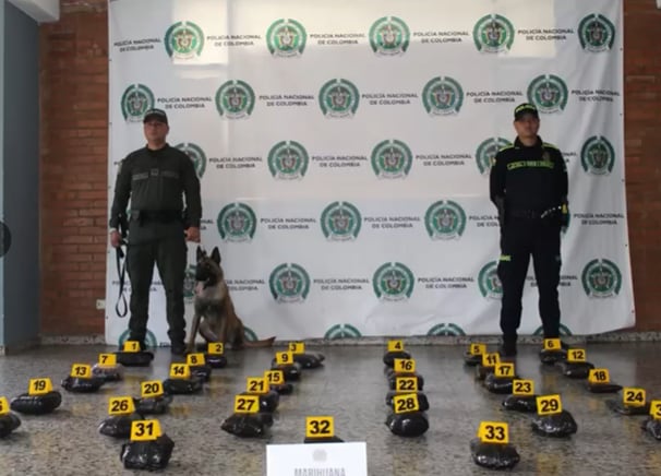 Jeico fue clave en la identificación de la sustancia.