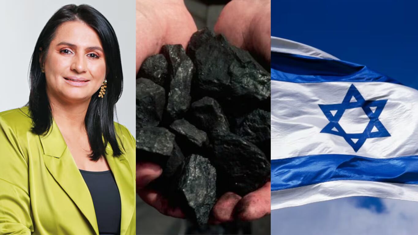 La senadora se refirió a prohibición de las exportaciones de carbón a Israel.