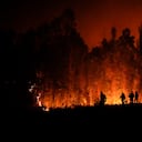Voluntarios llevan suministros para los bomberos cerca de árboles en llamas en Puren, Chile, el sábado 4 de febrero de 2023 por la noche. (AP Photo/Matias Delacroix)