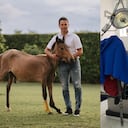 Cirugía de Valentino, caballo adoptado por Johnny Rivera.