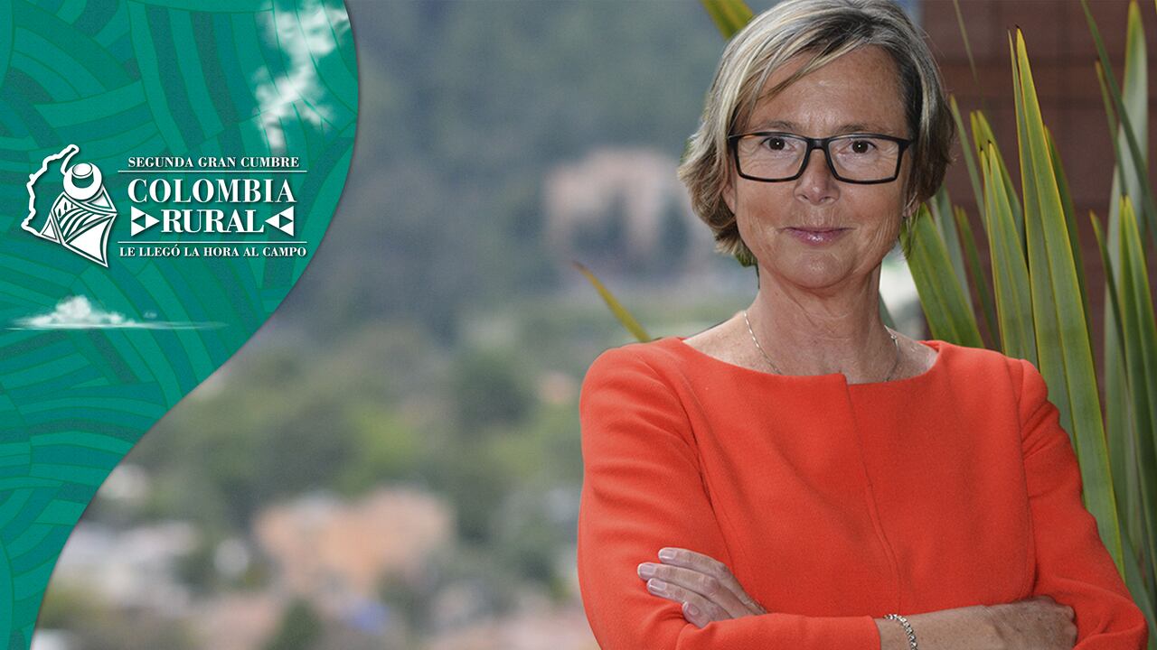 Patricia Lombart, embajadora de la Unión Europea en Colombia