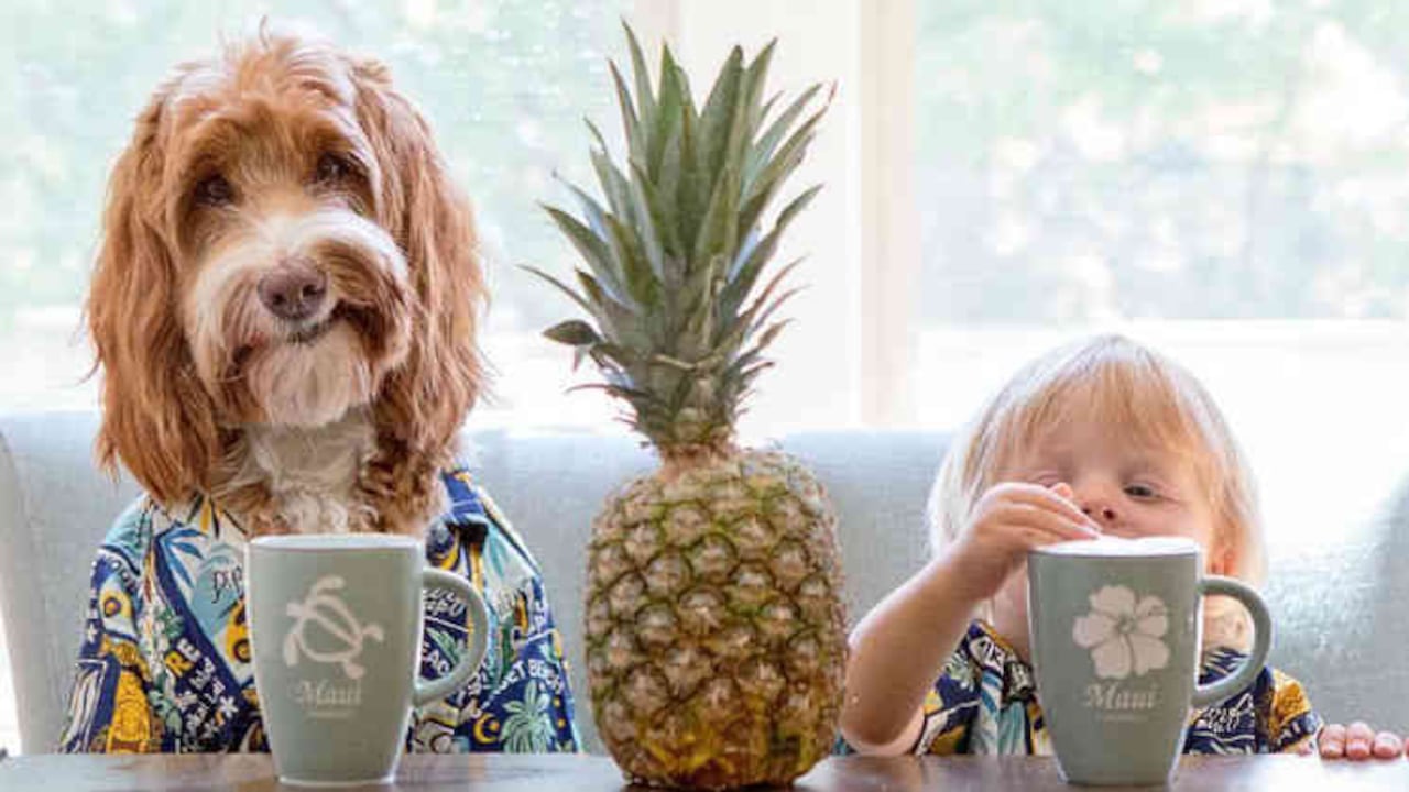 instagram @reagandoodle