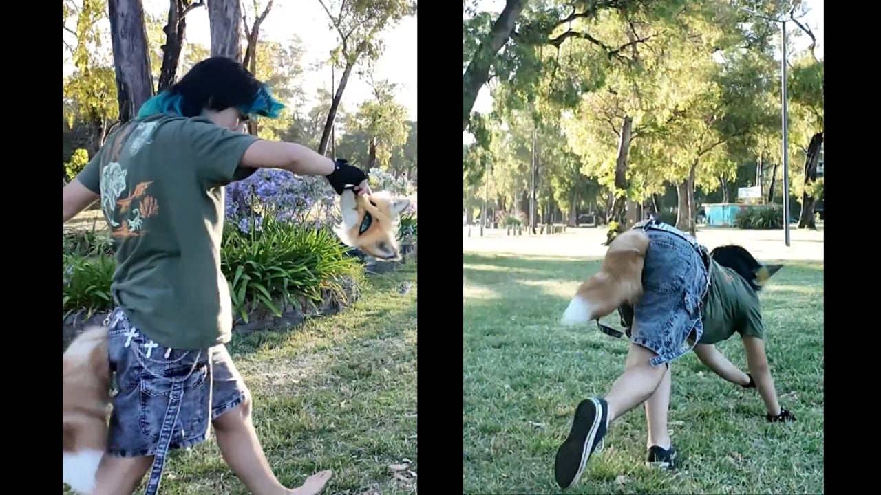 Un video breve bastó para que una historia poco común captara la atención global.