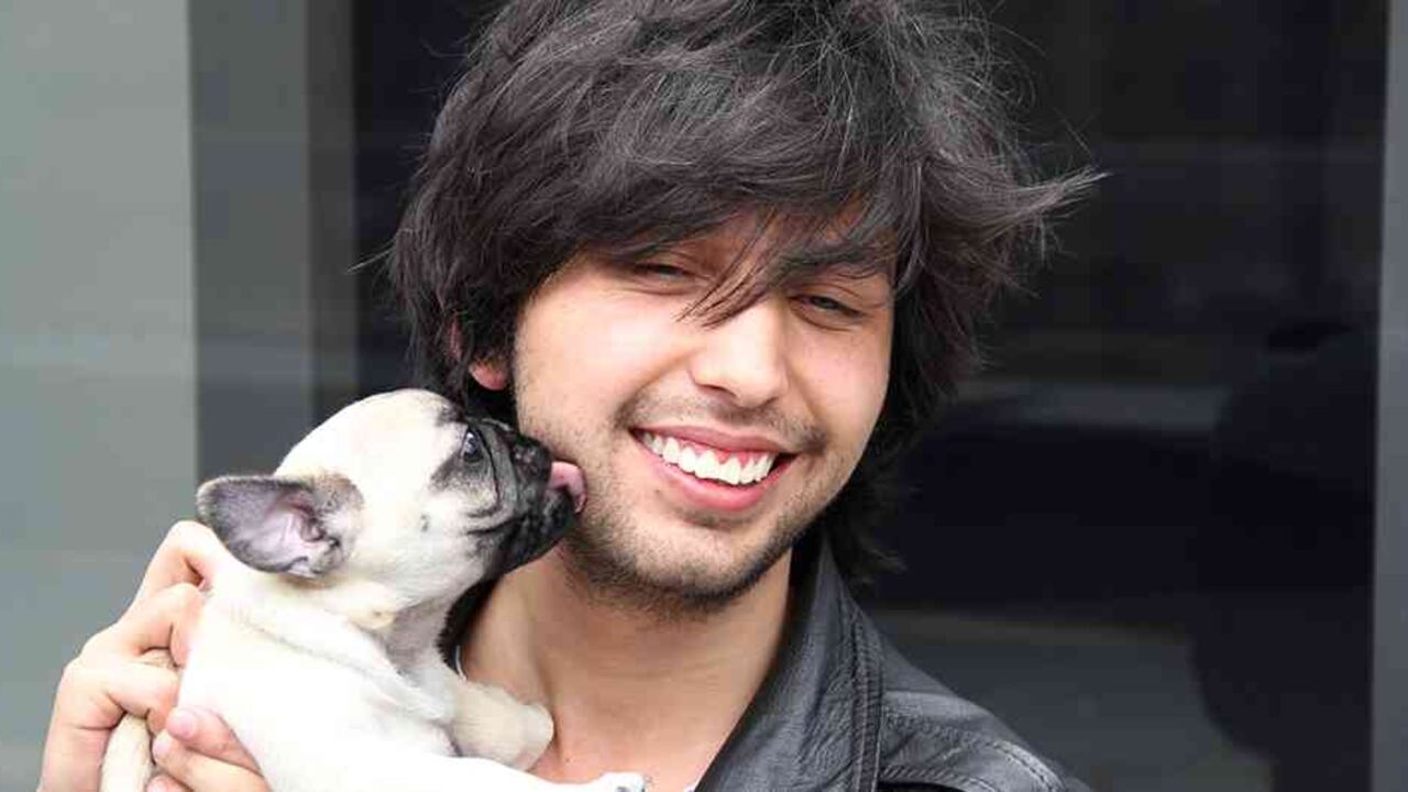 Los perros ayudan a que sus dueños tengan una mejor salud.