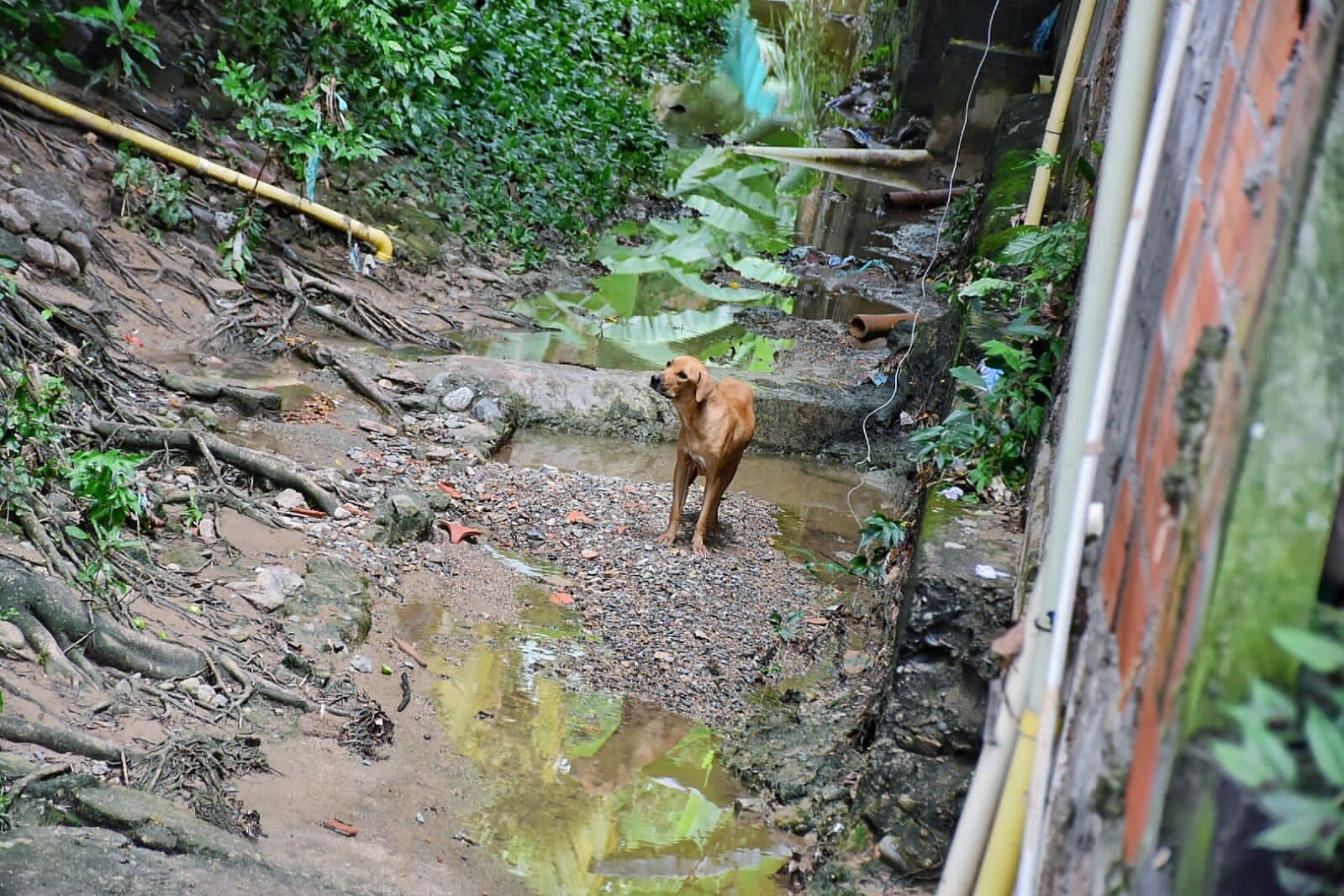 Piden a los viajeros tener mucha precaución