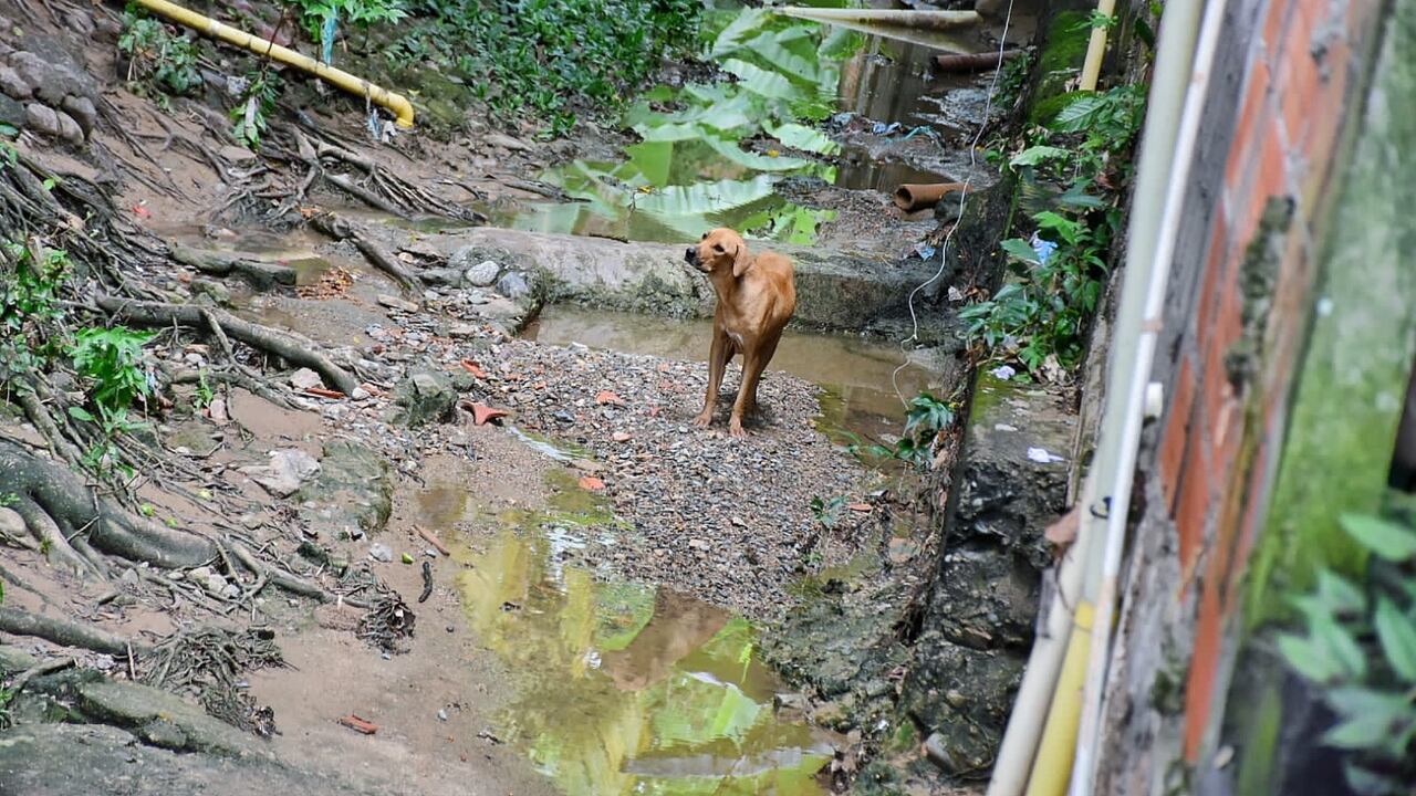 El Ideam anuncia constantes precipitaciones en casi todo el país