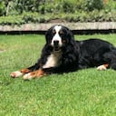 #BuscandoAKiara. Foto de cortesía de Camilo Jaramillo