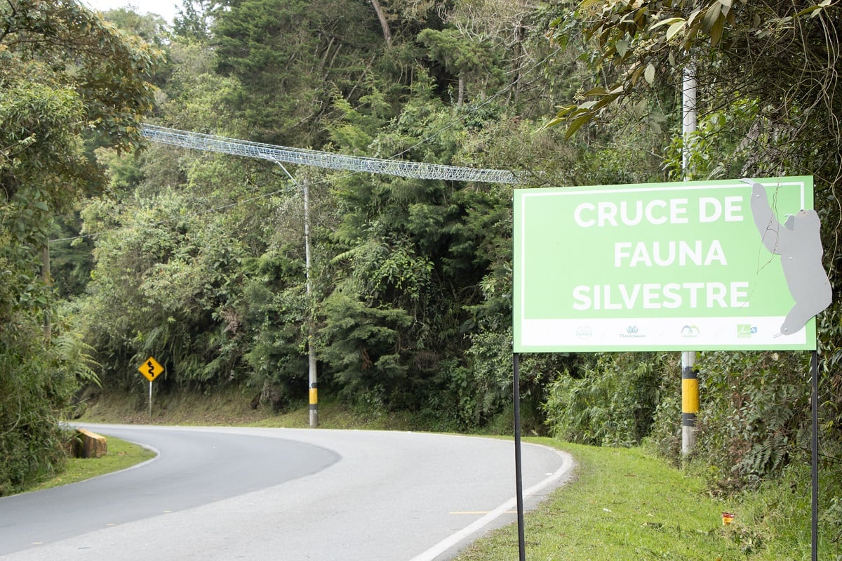 Pasos de fauna silvestre en Antioquia