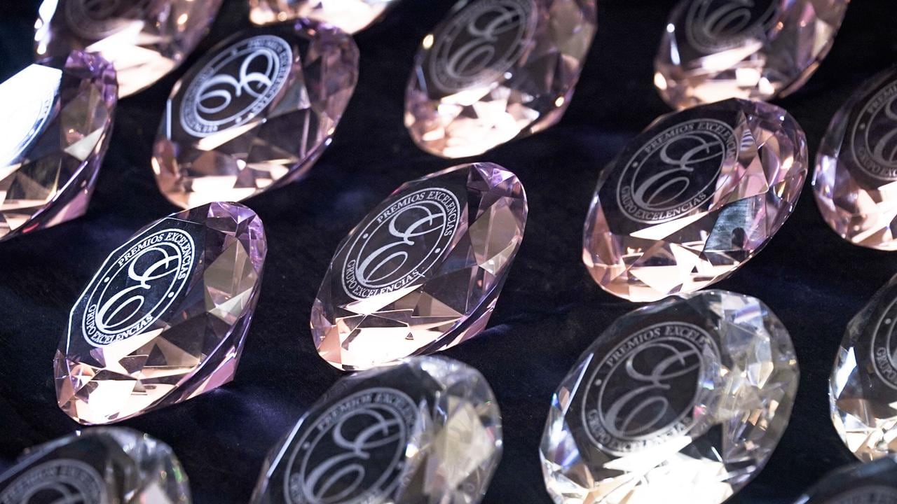 El jurado la clasificó como un proyecto de gran calidad