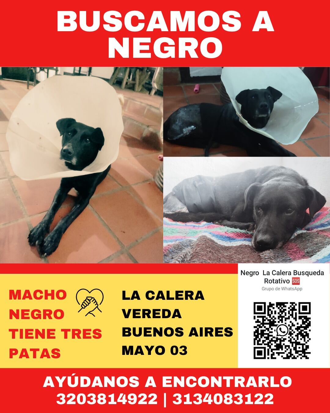 Aporte Mireya Velasco