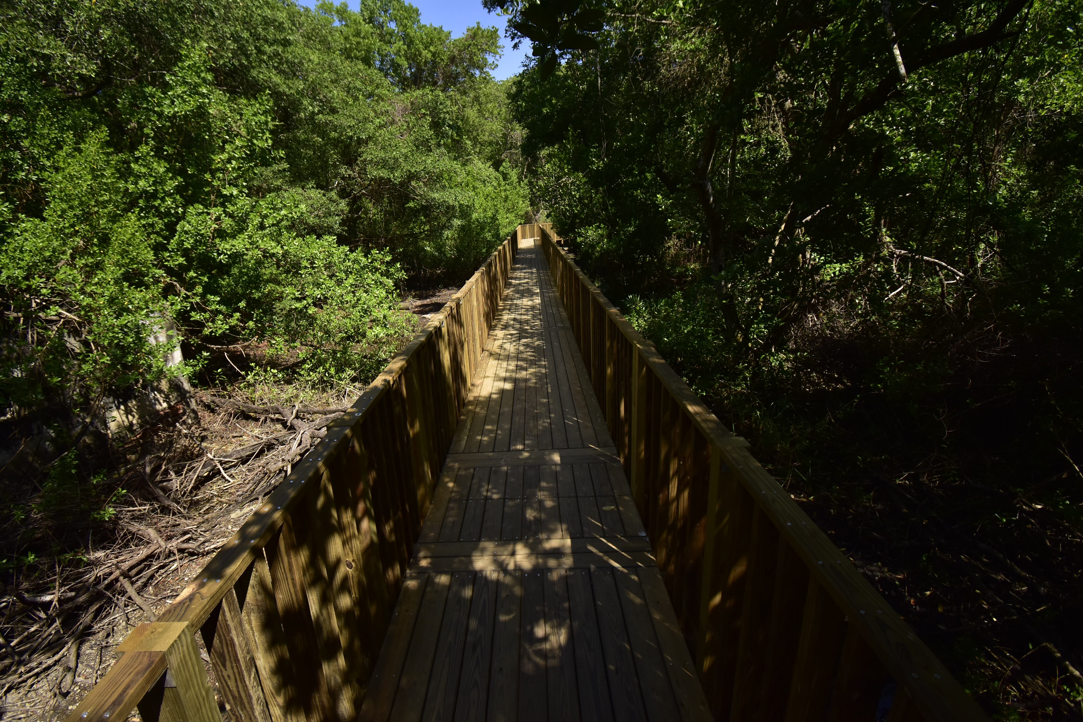 Mallorquín dejará una huella para esta y futuras generaciones