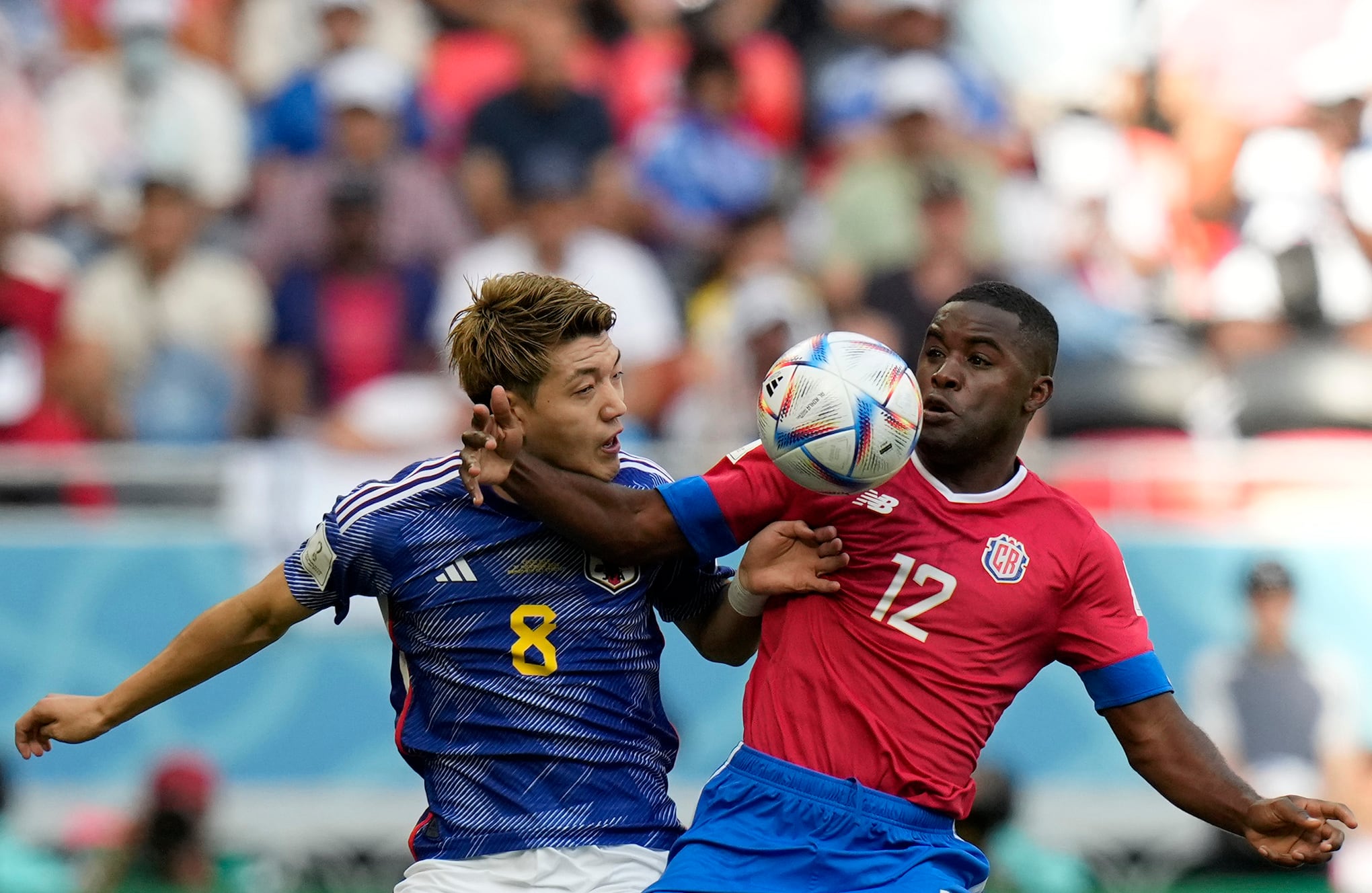 En imágenes : así se vio el mundial este domingo