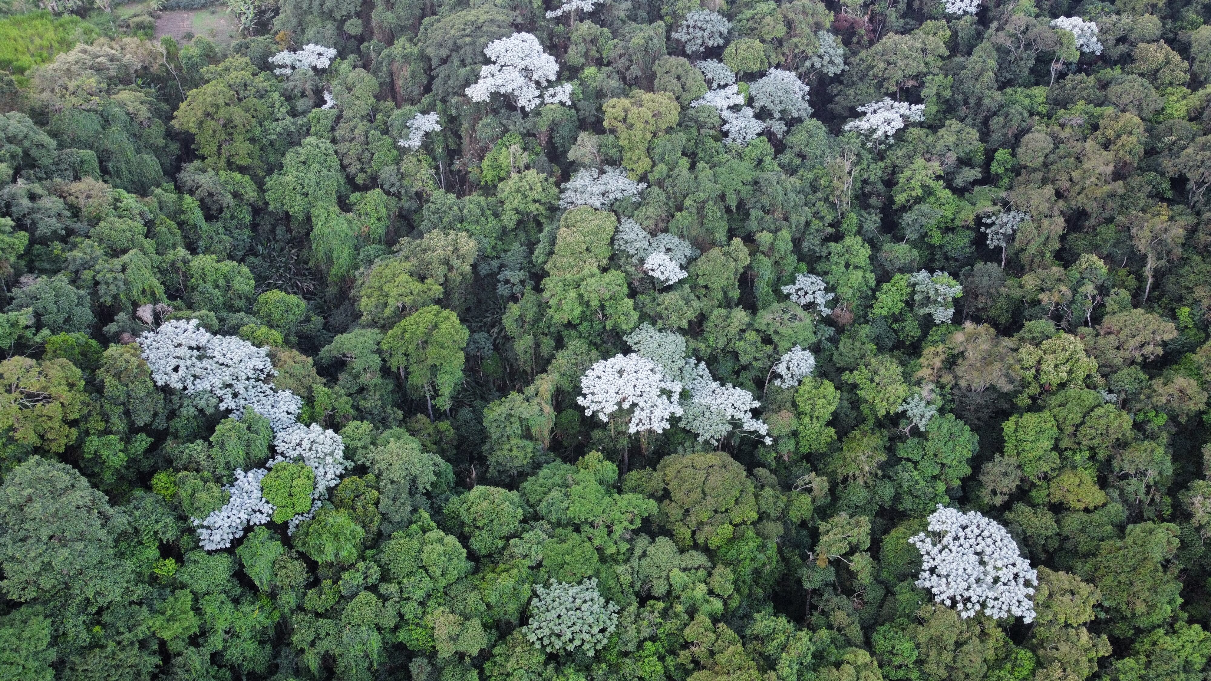 Turismo de naturaleza en los corregimientos de Cali
