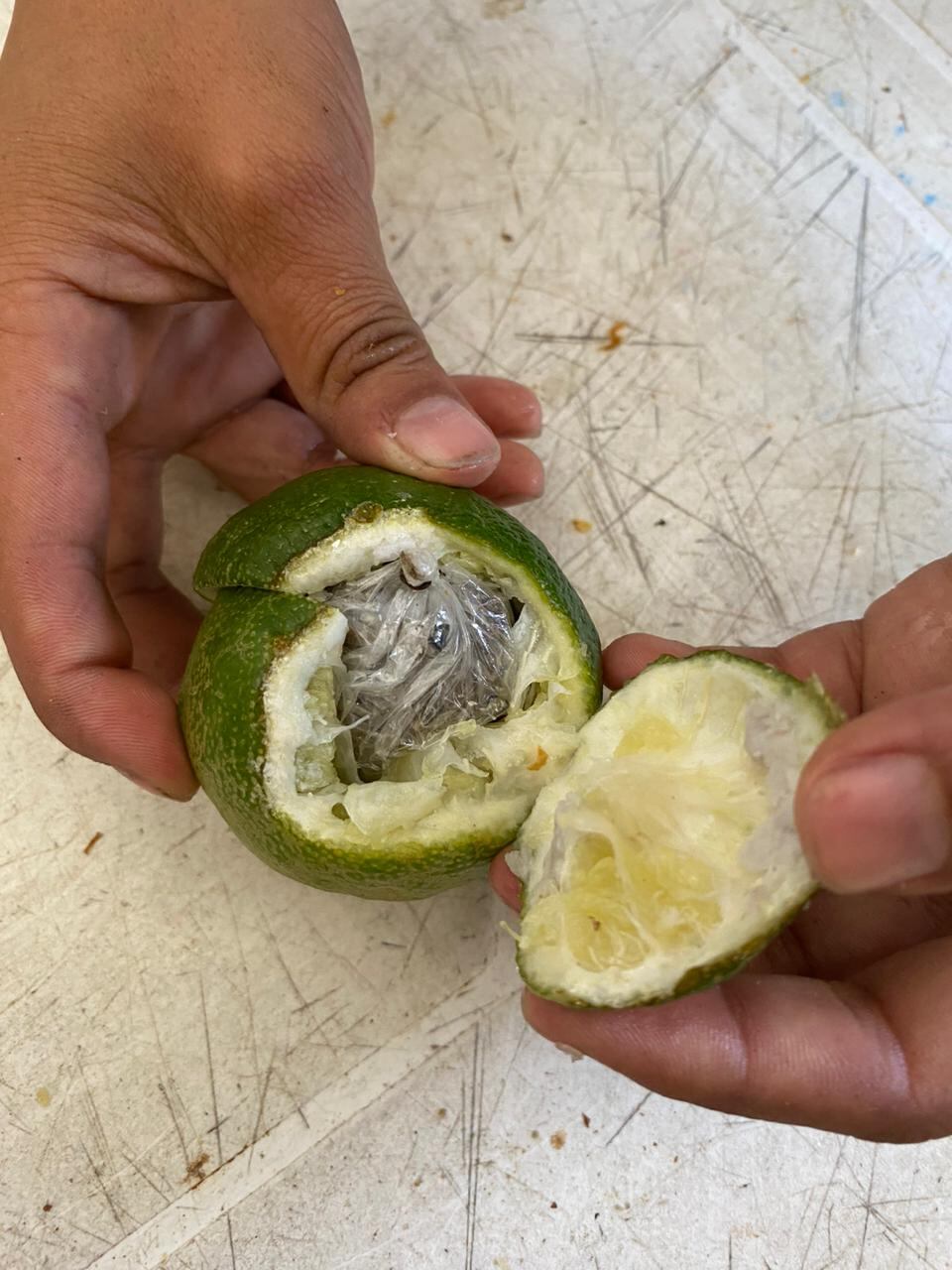 Ocurrió en la Estación de Policía Centro.