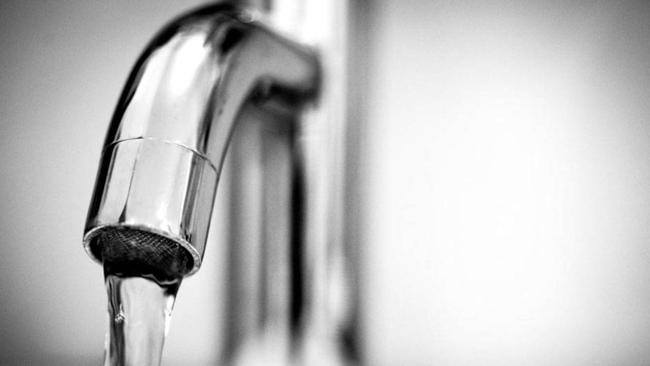 Con el gravamen de todos los productos, las únicas opciones alimentarias sin IVA serían pocas.