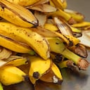 Cáscara de banano, cáscara de plátano