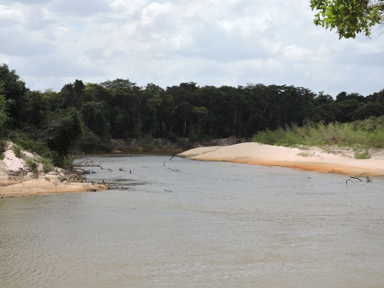 realizarán estudio de delfines rosados y nutrias gigantes en el Meta