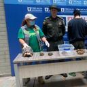 Sujeto capturado por tráfico ilegal de fauna silvestre en Medellín.