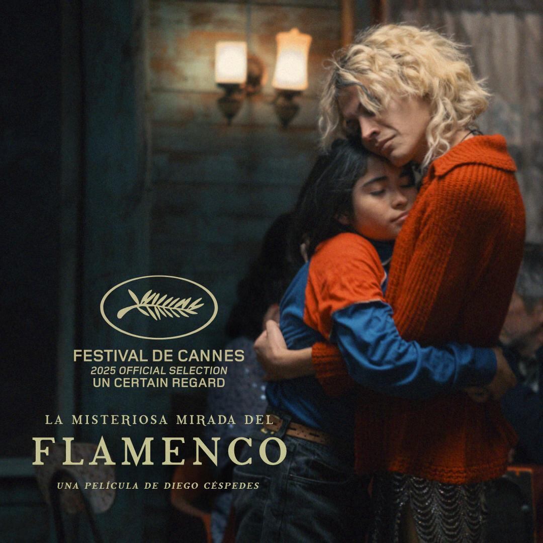 'La misteriosa mirada del flamenco' , película chilena fotografiada por el colombiano Angello Faccini.