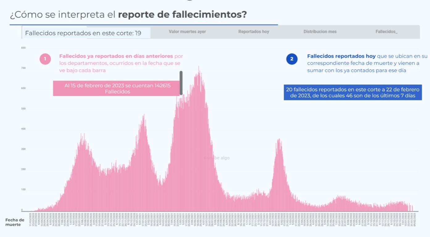 Gráfica de histórico de fallecimientos relacionados con la Covid 19.