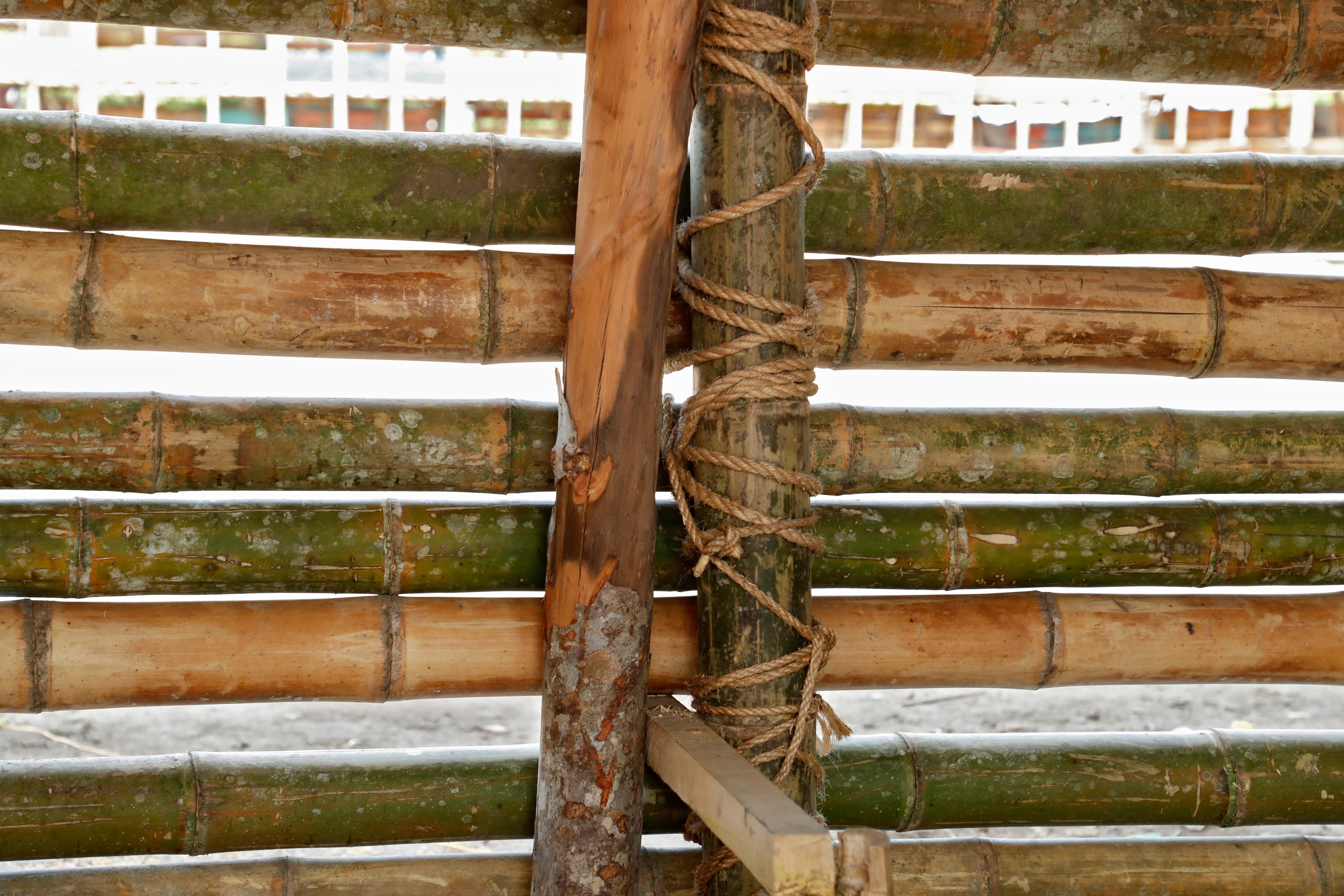 Avanzan las investigaciones en el municipio de El Espinal, Tolima, para esclarecer las causas del desplome de ocho palcos en la plaza de toros Gilberto Charry en las corralejas de las fiestas de San Pedro
Junio 29 del 2022
Foto Guillermo Torres Reina / Semana