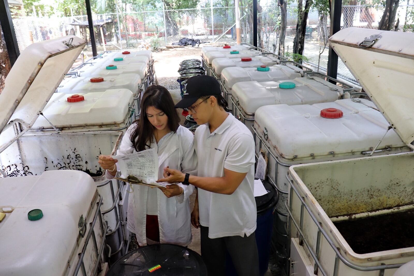 Los estudiantes de grado décimo y once del Colegio INEM Jorge Isaacs participan activamente en las labores de la planta de compostaje, a través de una electiva ambiental.