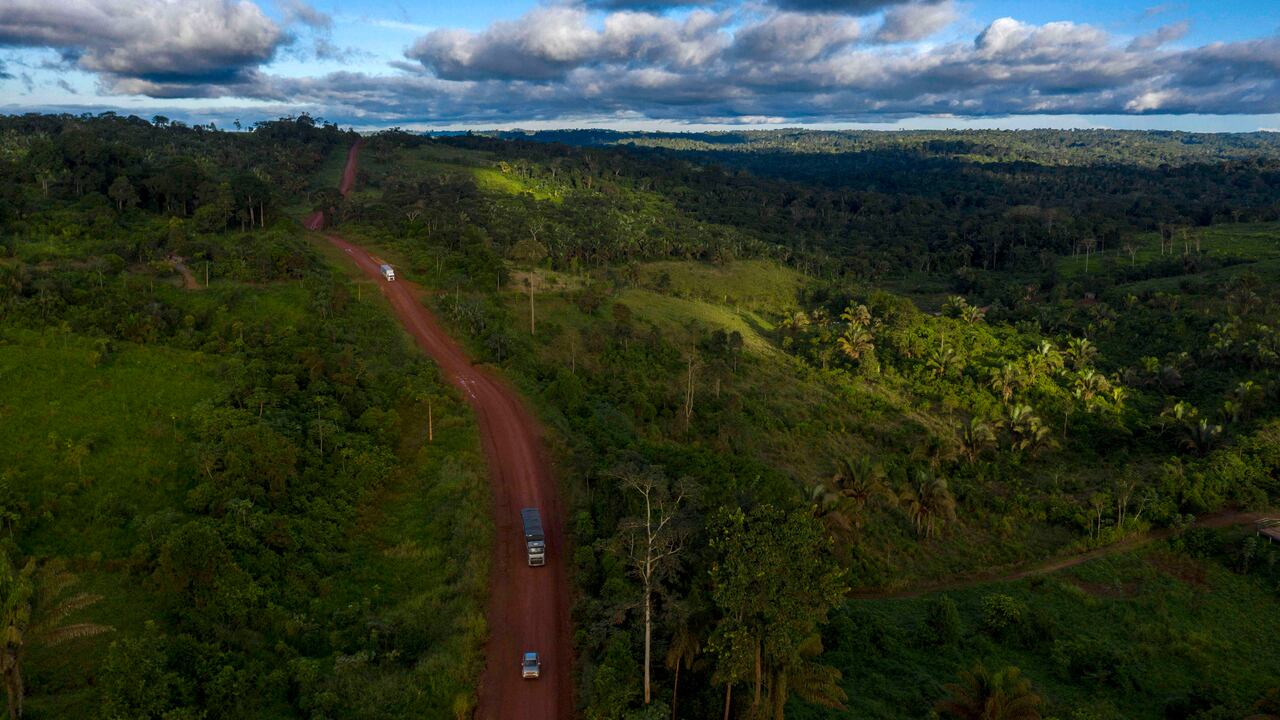 La deforestación es una de las problemáticas que más afecta a la amazonia en Brasil. Foto. AFP