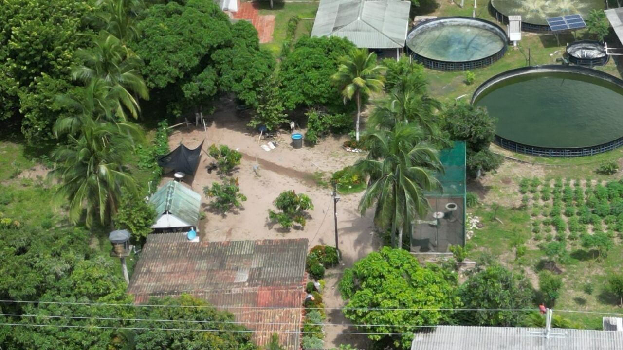 La finca está ubicada en la carrera 18ª con la calle 35ª, en Baranoa, Atlántico.