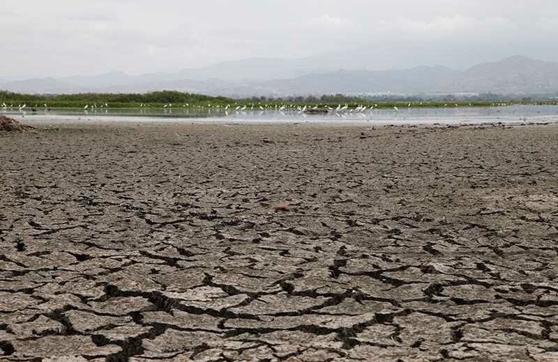 Laguna Sonso / Foto: Luis Ángel Murcia