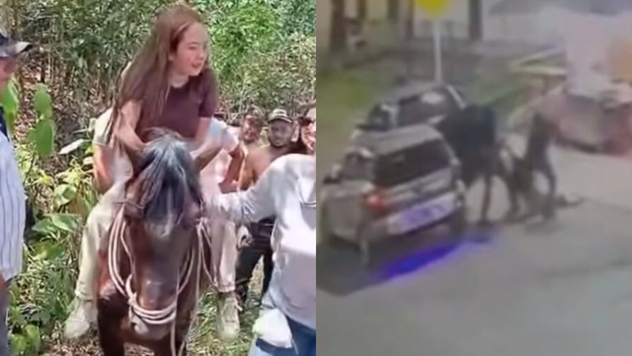 La liberación de Zulandy Mambuscay fue confirmada por su hermano Herdy Esneider Mambuscay.