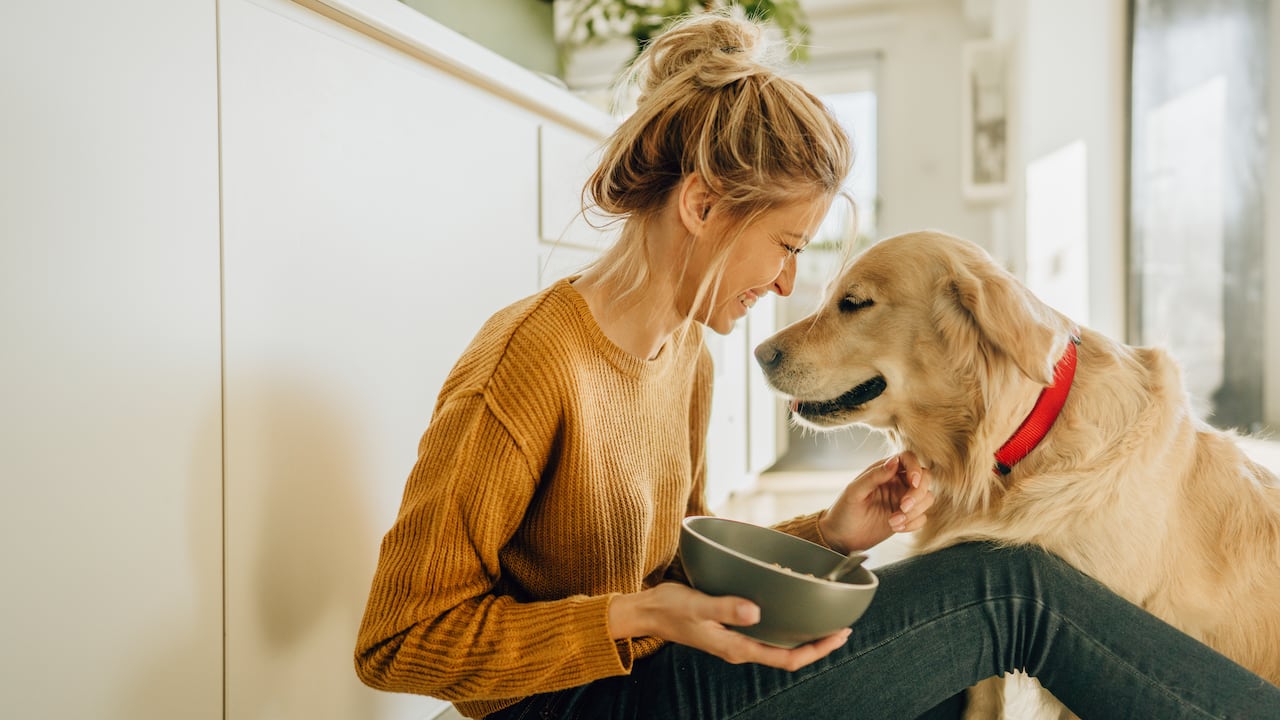 Los perros son mascotas fieles que hacen parte de muchas familias.