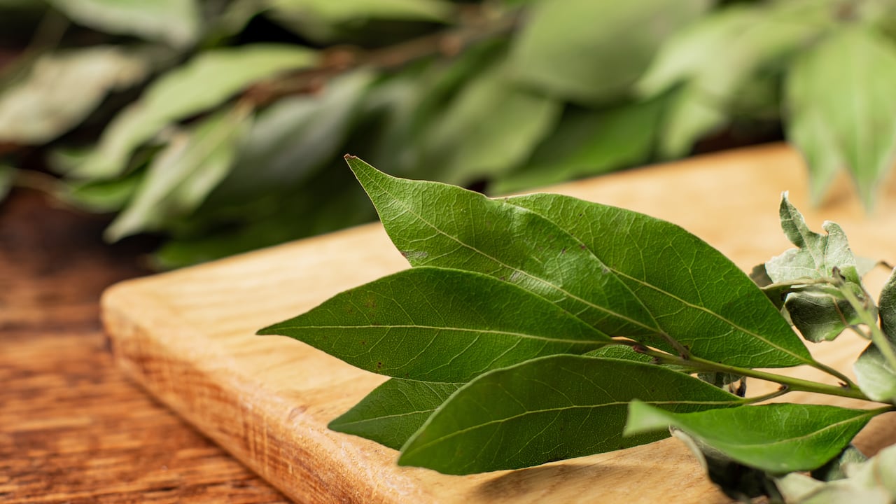 El consumo de laurel puede ser beneficioso para reducir los niveles de azúcar en la sangre.