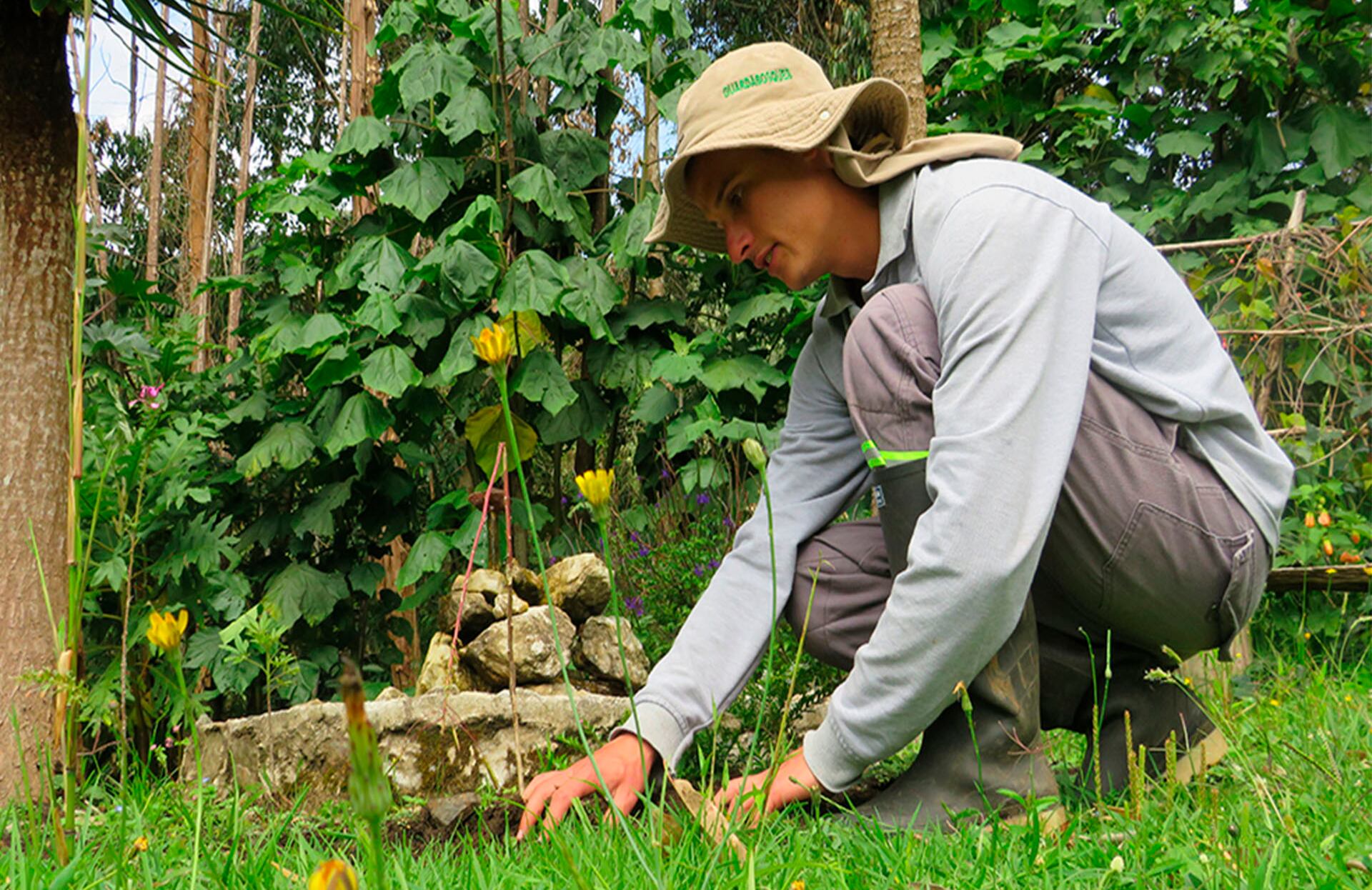 Alcaldía de Medellín Ecociudad