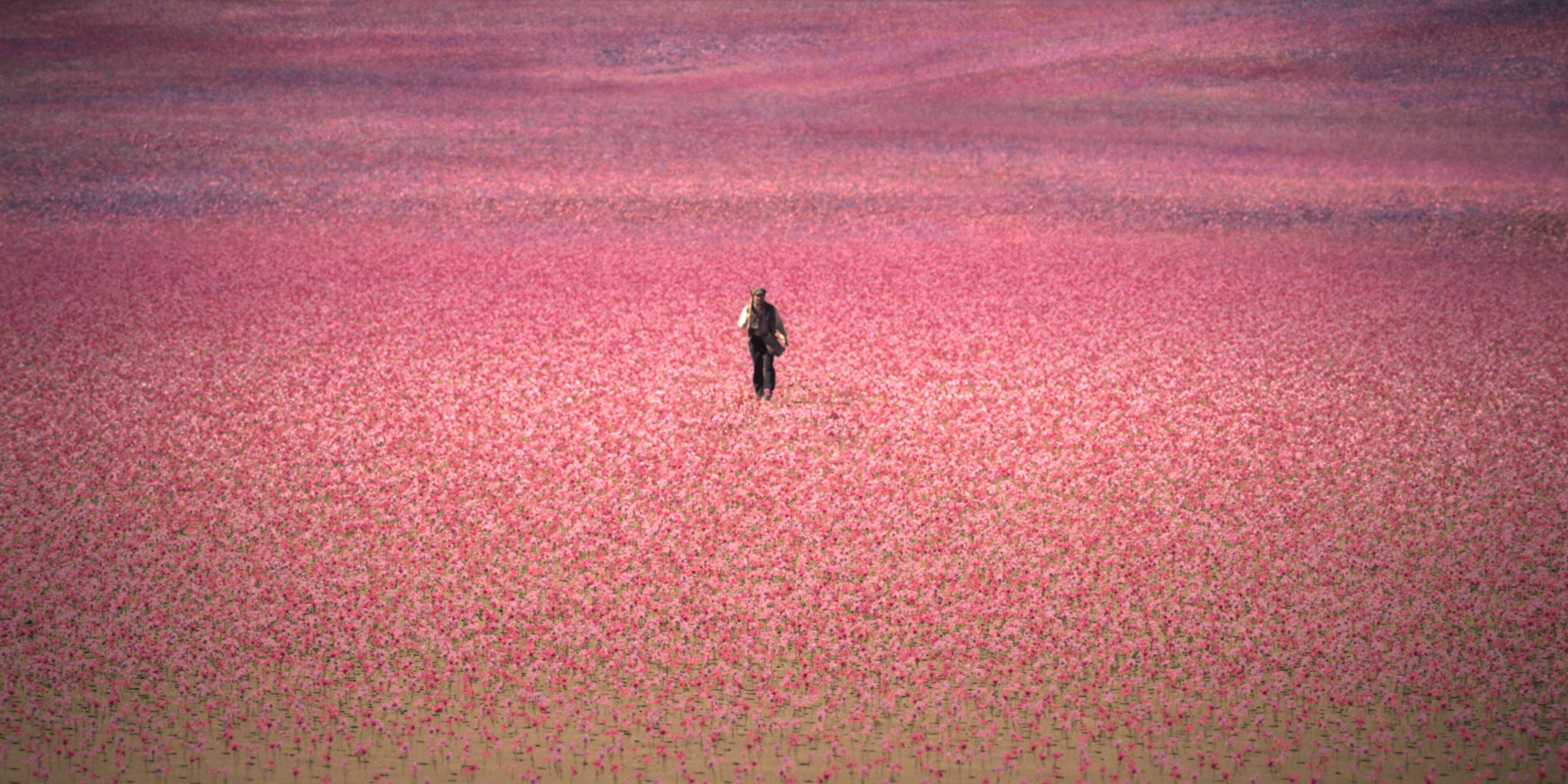 La ficción, protagonizada por Nicole Wallace, Alfonso Herrera y Dolores Fonzi, llegará a la plataforma de Amazon el próximo 29 de abril.