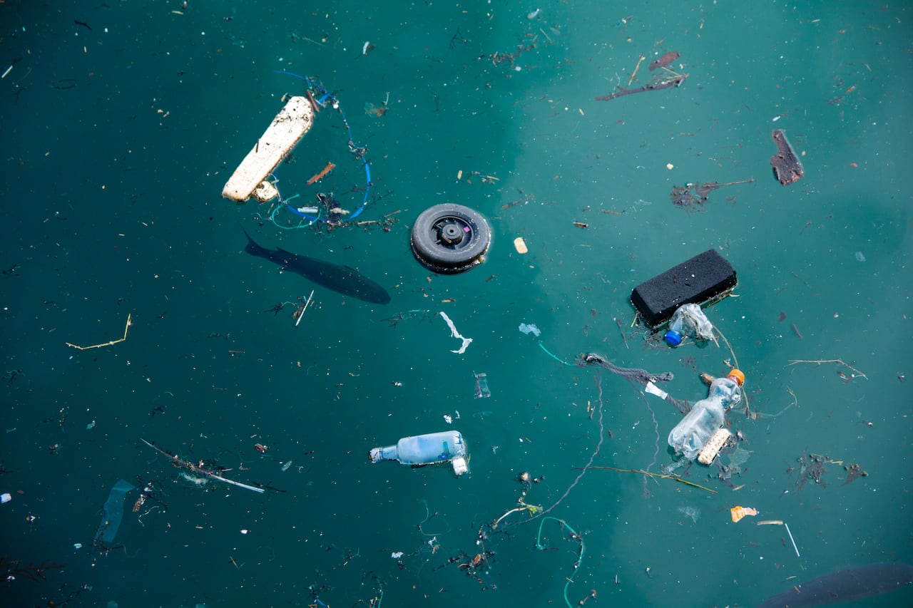 Nuevos indicios exponen una presencia masiva y oculta en aguas del Atlántico Norte.