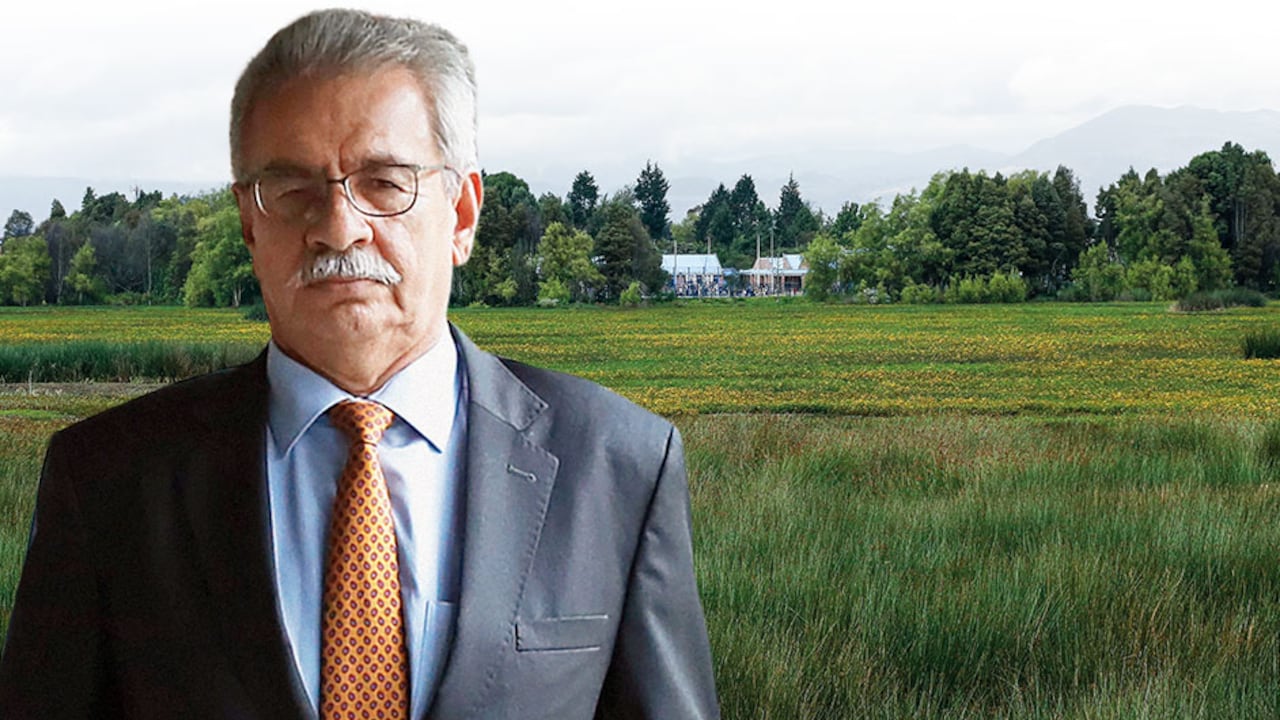 El magistrado Carlos Vargas se atrevió a ordenarle al Distrito comprar el humedal Jaboque a unos particulares que se apropiaron de él fraudulentamente.