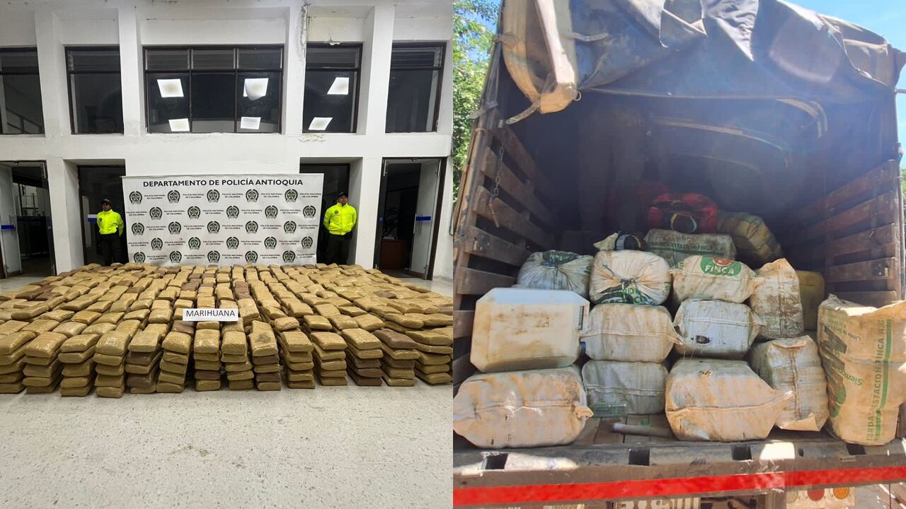 Incautación de marihuana en Antioquia.