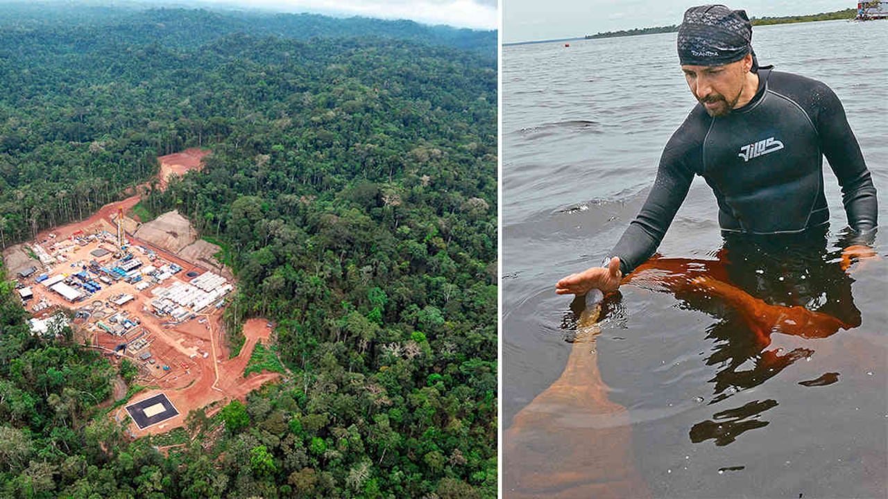 Los indígenas de la Amazonía bautizaron a Fernando con el nombre de 'Omacha': el delfín que se transforma en gente. Por esta razón su fundación recibió el mismo nombre.