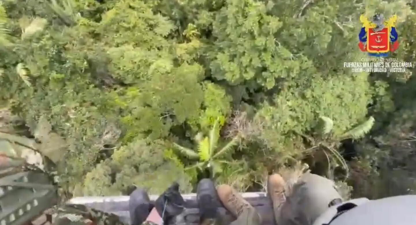 Desde el aire lanza los alimentos.