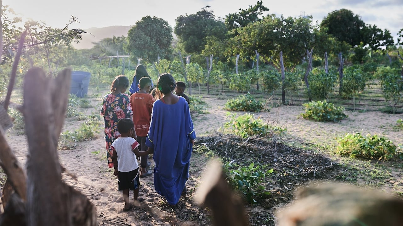 El Premio Campo que Alimenta abrió su convocatoria para identificar y reconocer iniciativas que desde la ruralidad colombiana.
