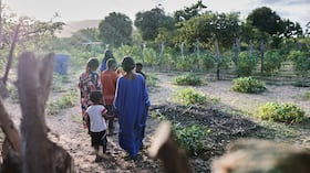 El Premio Campo que Alimenta abrió su convocatoria para identificar y reconocer iniciativas que desde la ruralidad colombiana.