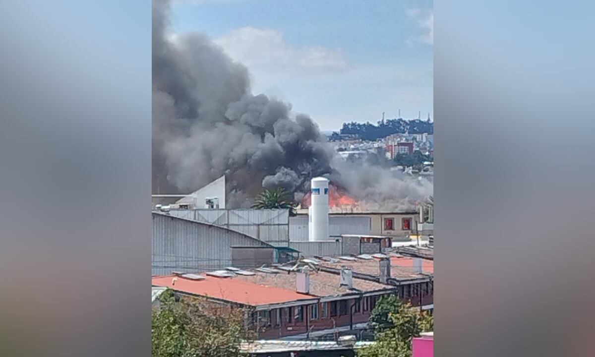 La conflagración fue originada de forma voluntaria.