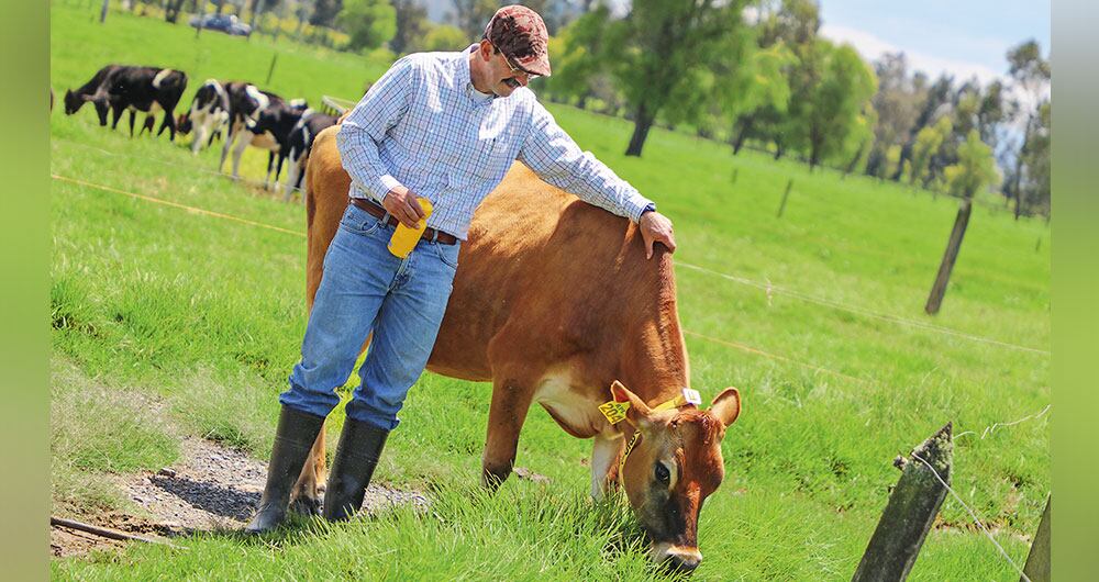 General (r) Rodolfo Palomino