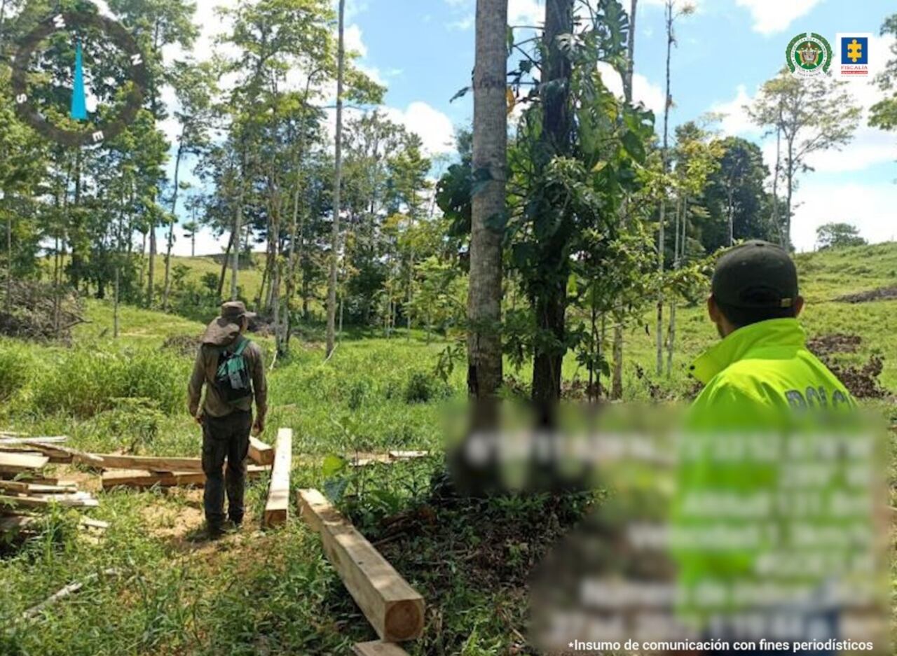 La Fiscalía logró la captura de seis personas que estarían al frente de una estrategia criminal contra el medio ambiente en Santander y Antioquia.