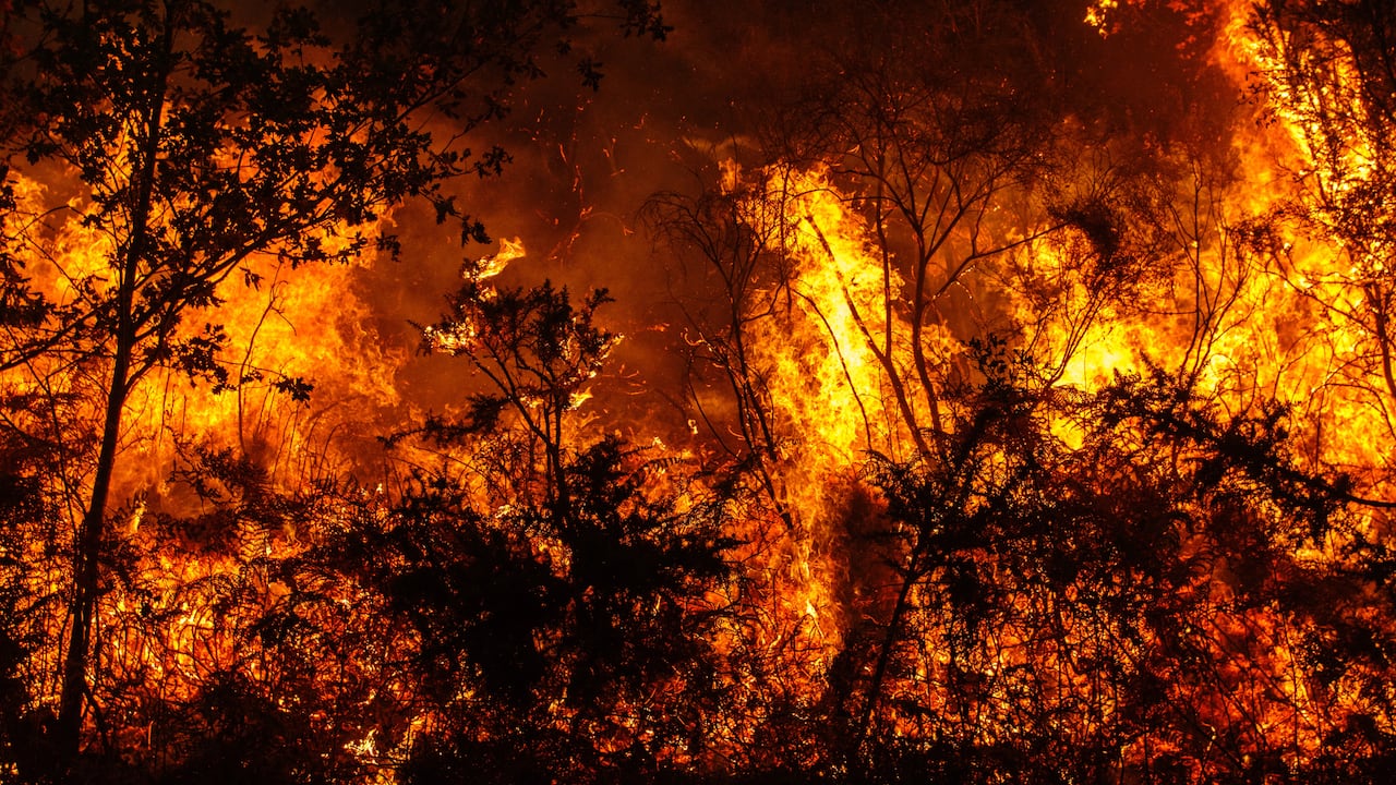 Una función poco conocida de Google ayuda a seguir incendios forestales desde el celular.
