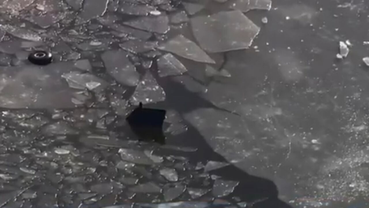 Organismos de socorro fueron alertados del accidente ocurrido cerca al aeropuerto Lee en Edgewater, alrededor de las 10:30 a.m (hora local), de acuerdo con la información de la Policía estatal.